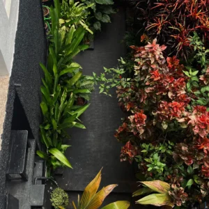 WhatsApp Image 2025-12-10 at 20.31.34 (2)