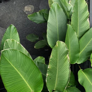 WhatsApp Image 2025-12-10 at 20.31.37