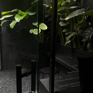 WhatsApp Image 2025-12-10 at 20.31.42