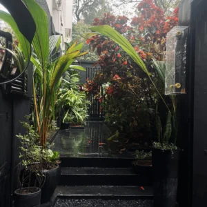 WhatsApp Image 2025-12-10 at 20.31.44